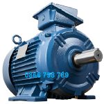 động cơ điện 3 pha 45kW 60hp tốc độ 1000 Hyosung Hàn Quốc chân đế hộp cực trên
