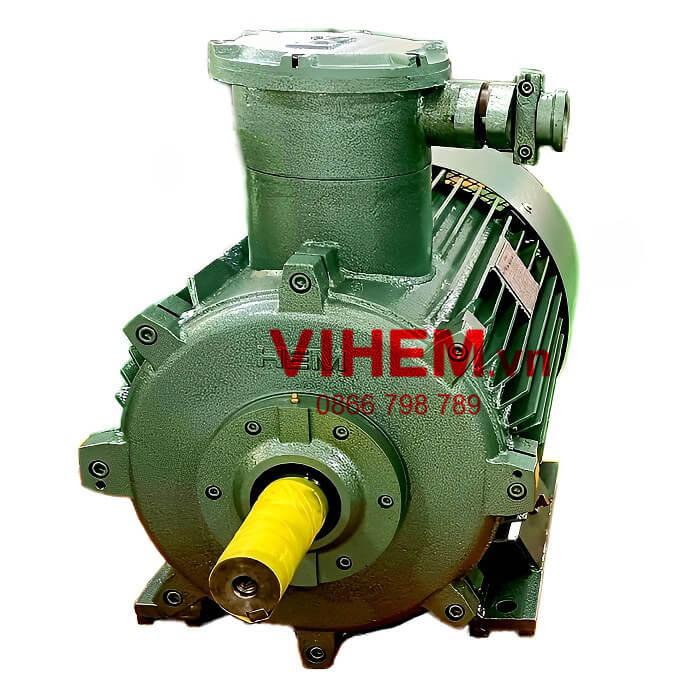 Motor phòng nổ điện 3 pha 55kW (75HP) tốc độ 980 (1000) HEM VIHEM (điện cơ Hà Nội)