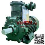 motor điện 3 pha Hem 11kW phòng nổ vihem điện cơ hà nội