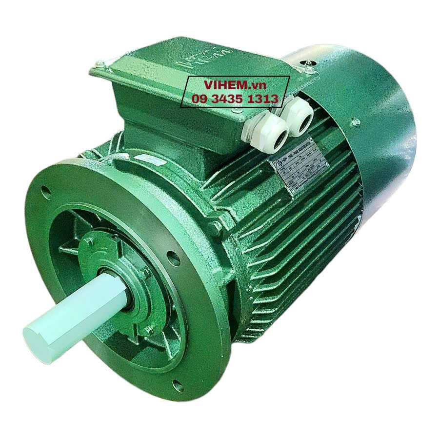 Động cơ mặt bích 22kW (30hp) 3K180L4 tốc độ (1470~1500) r/min 3 pha 380/660V motor điện cơ Hem Vihem lắp đứng